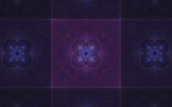 2014 04 30 Webs and Things 41-black.jpg